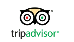 Brand Name : Brand Short Description Type Here.